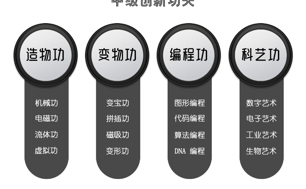 中级创新功夫，造物功：机械功，电磁功，流体功，虚拟功；变物功：变宝功，拼插功，磁吸功，变形功；编程功：图形编程，代码编程，算法编程，DNA编程；科艺功：数字艺术，电子艺术，工业艺术，生物艺术。